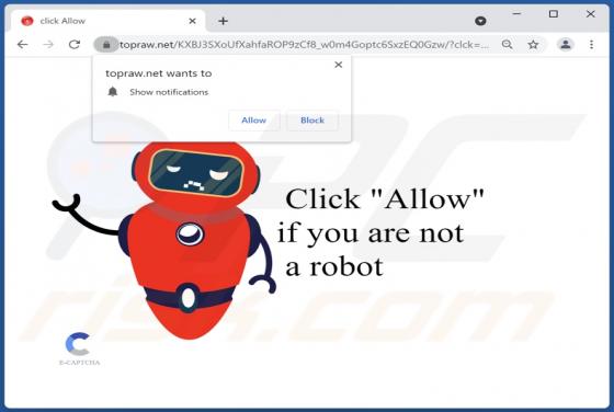 Topraw.net Ads