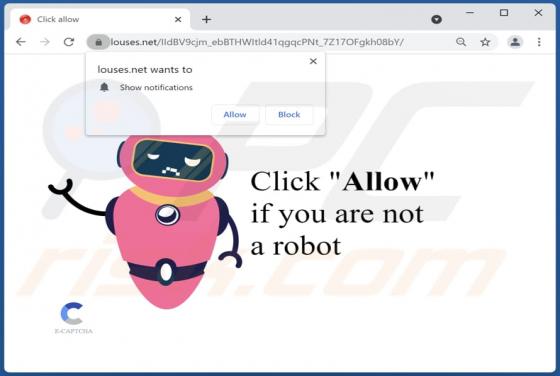 Louses.net Ads
