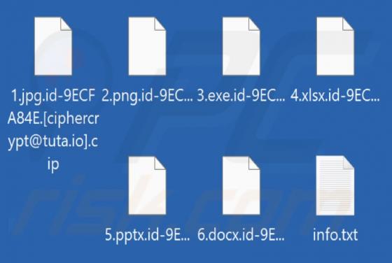 Cip Ransomware