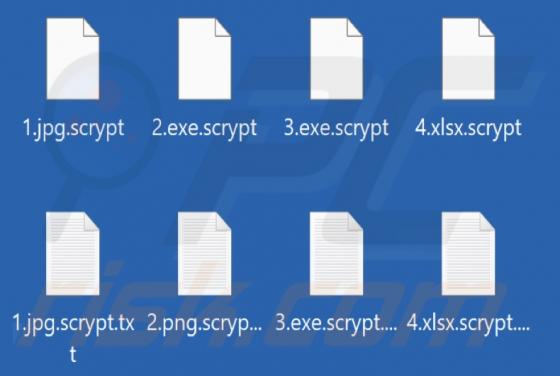 White Rabbit Ransomware