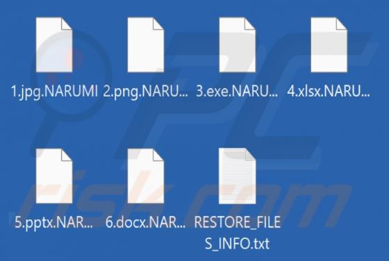 NARUMI Ransomware