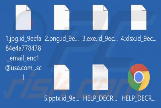 Scl Ransomware