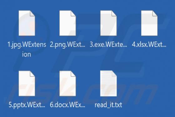 WExtension Ransomware