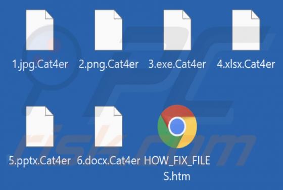 Cat4er Ransomware