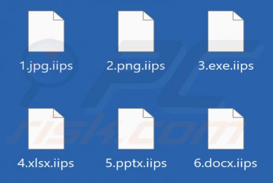 Iips Ransomware