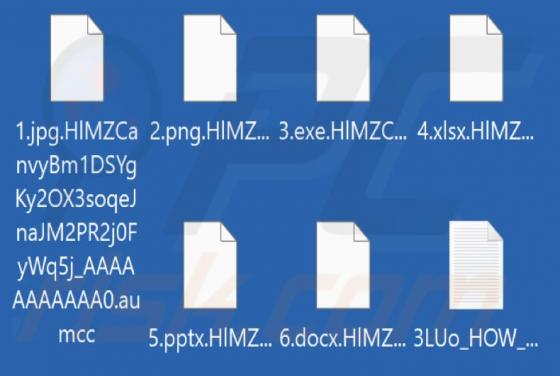 Aumcc Ransomware