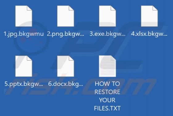Bkgwmu Ransomware