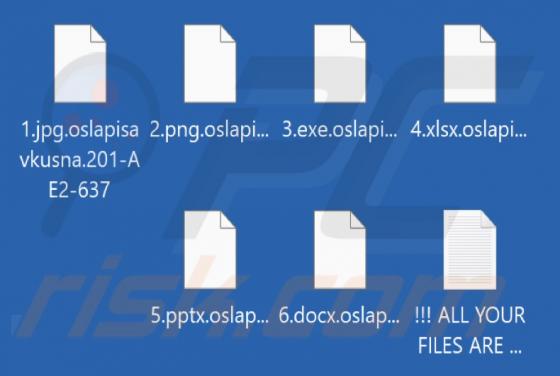 Oslapisavkusna Ransomware