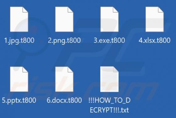 T800 Ransomware