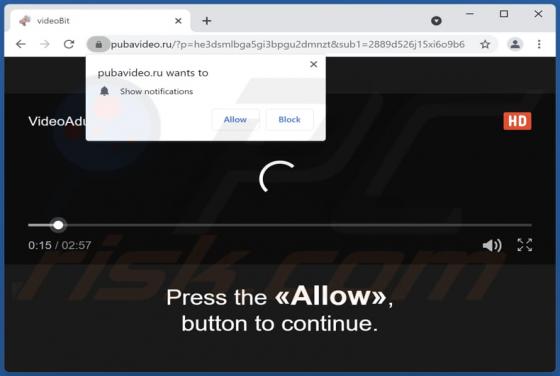 Pubavideo.ru Ads