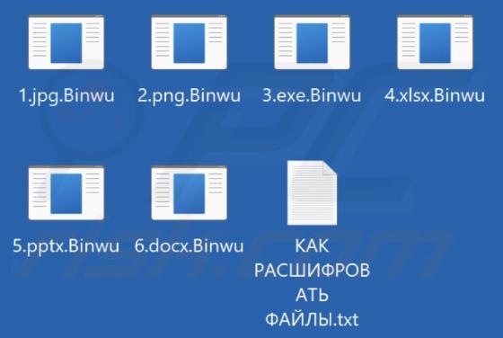 Binwu Ransomware