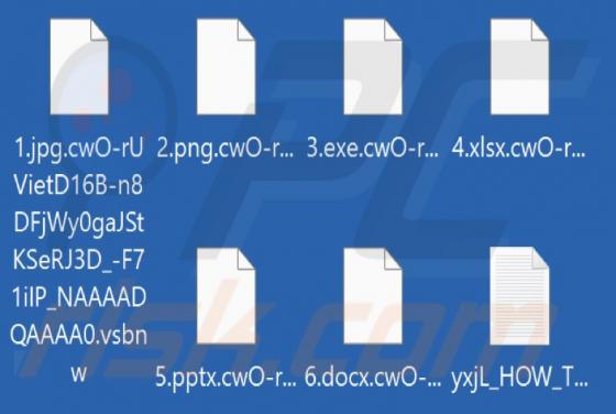 Vsbnw Ransomware