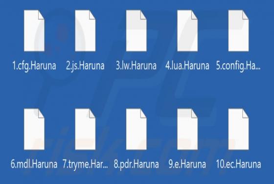 Haruna Ransomware