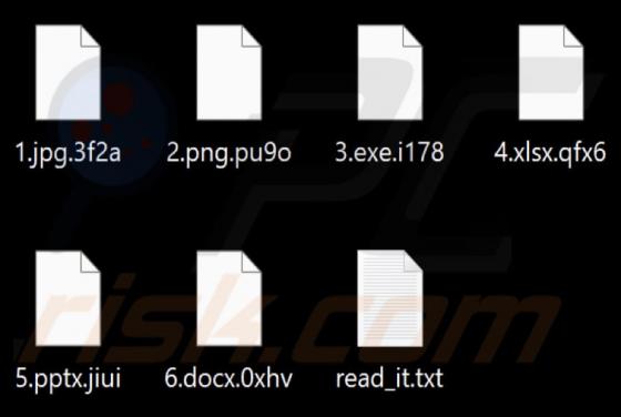 XRED Ransomware