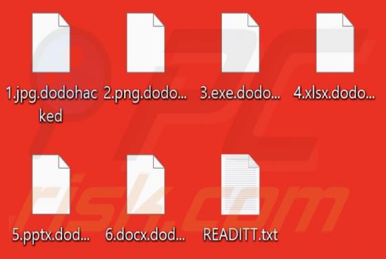Dodohacked Ransomware