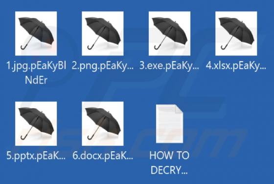 pEaKyBlNdEr Ransomware