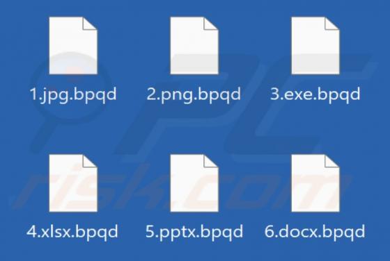 Bpqd Ransomware