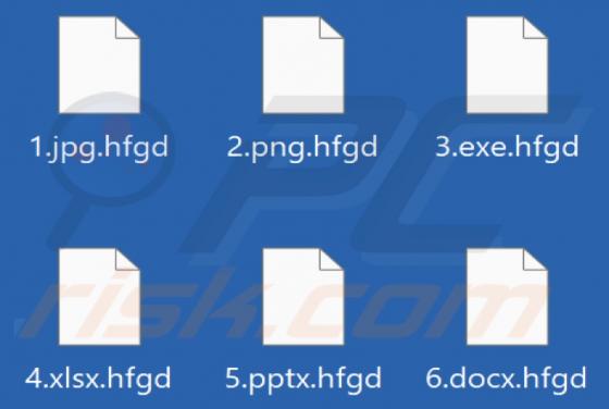 Hfgd Ransomware