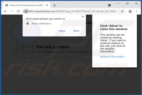 Separashpar.xyz Ads