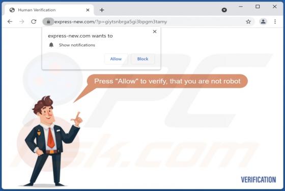 Express-new.com Ads