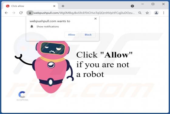 Webpushpull.com Ads
