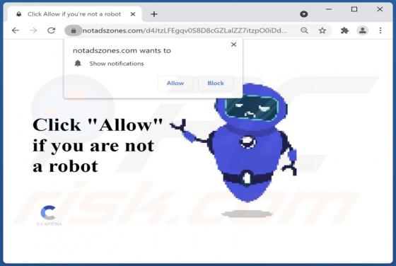 Notadszones.com Ads