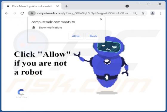 Computeradz.com Ads