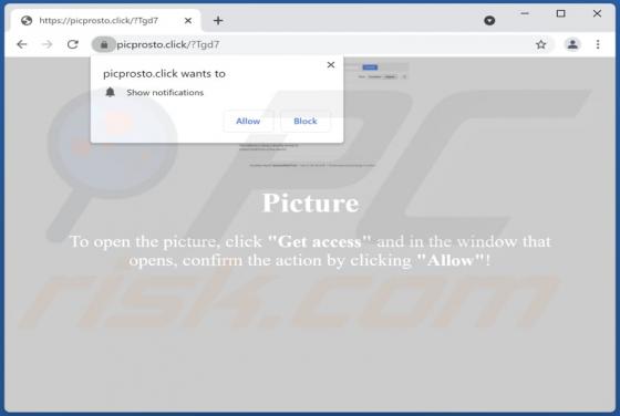Picprosto.click Ads