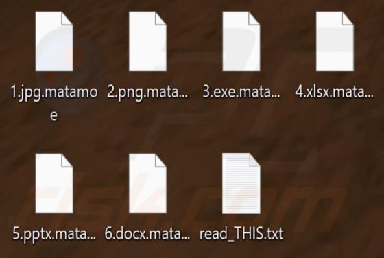 Matamoe Ransomware