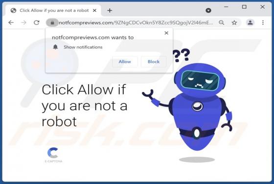 Notfcompreviews.com Ads