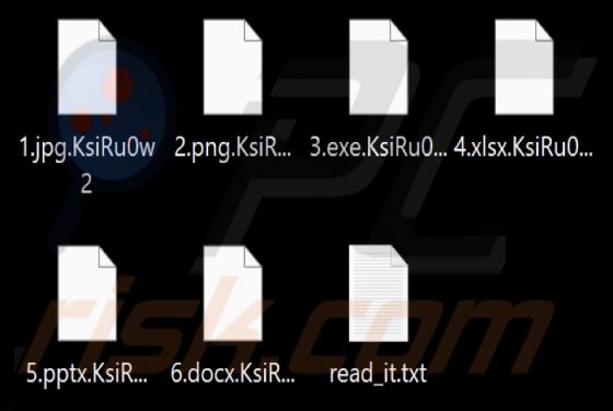 BlackToxic Ransomware
