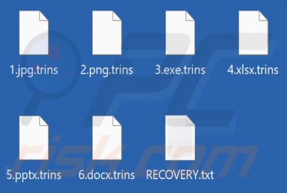 Trins Ransomware
