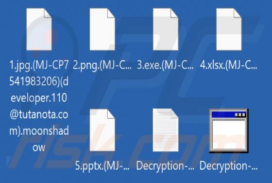Moonshadow Ransomware