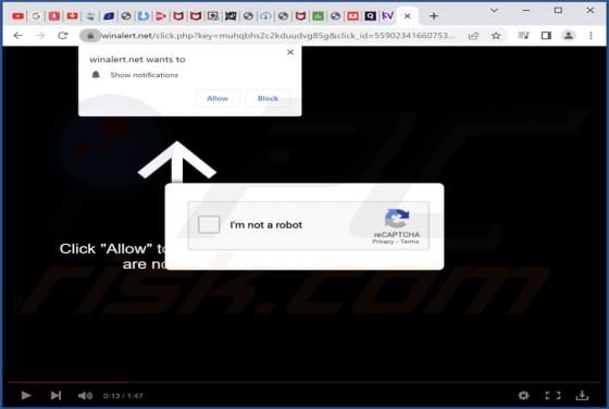 Winalert.net Ads