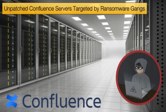 Unpatched Confluence Servers Targeted by Ransomware Gangs