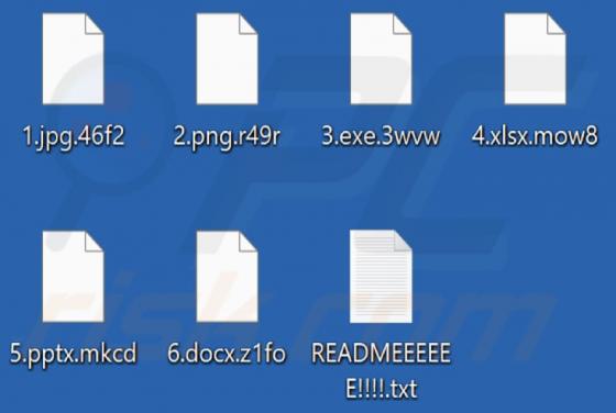 Magnus Ransomware