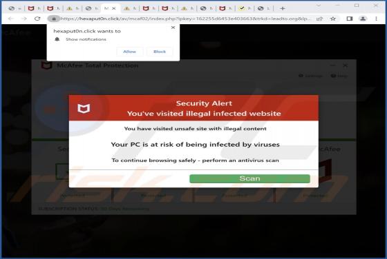 Hexaput0n.click Ads