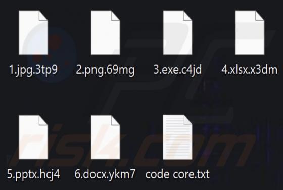 Code Core Ransomware