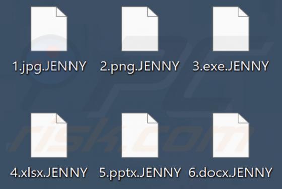 Jenny Ransomware