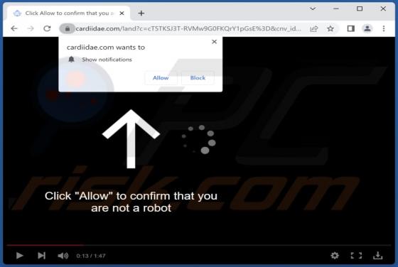 Cardiidae.com Ads