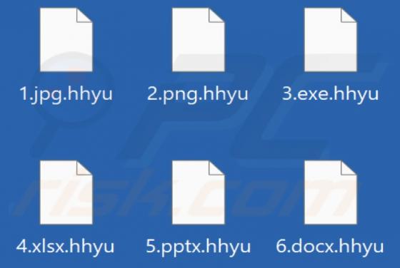 Hhyu Ransomware