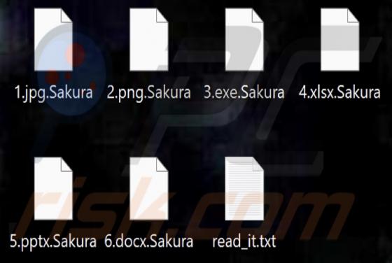 Sakura Ransomware