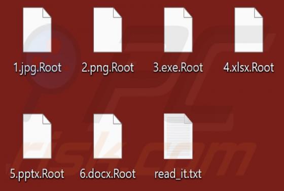Root (Chaos) Ransomware