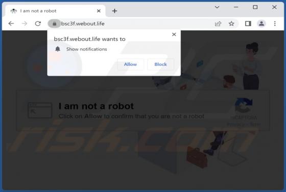 Webout.life Ads