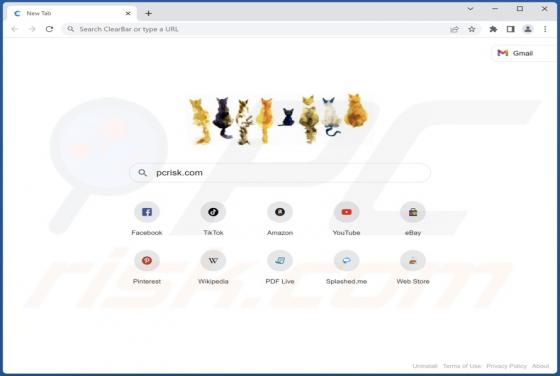 ClearBrowser Adware