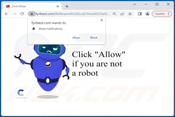 Fynbest.com Ads