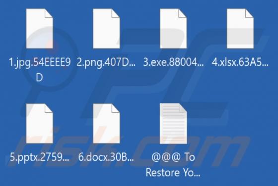 Rever Ransomware
