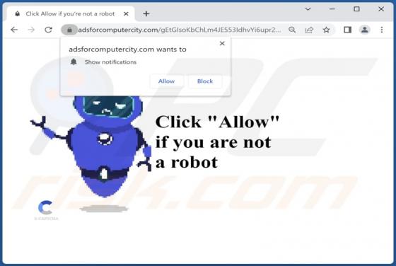Adsforcomputercity.com Ads