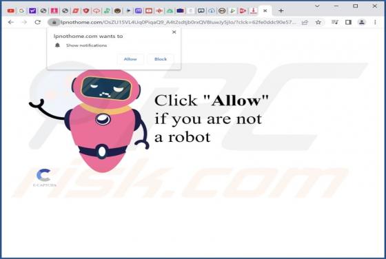 Lpnothome.com Ads