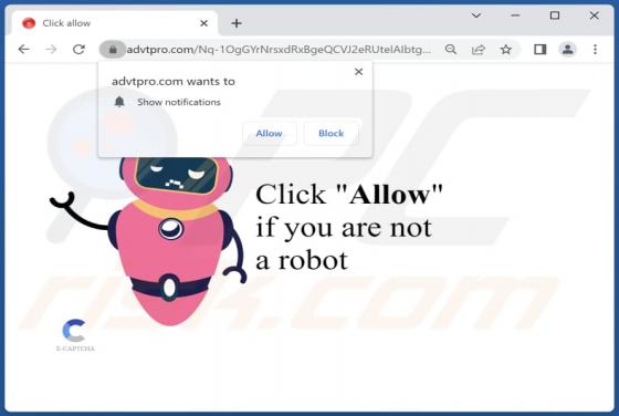 Advtpro.com Ads